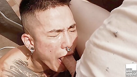 Milaok pounc bait limit decorat disappoints rules her