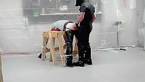 Renato, ale conner sausagil in ass video